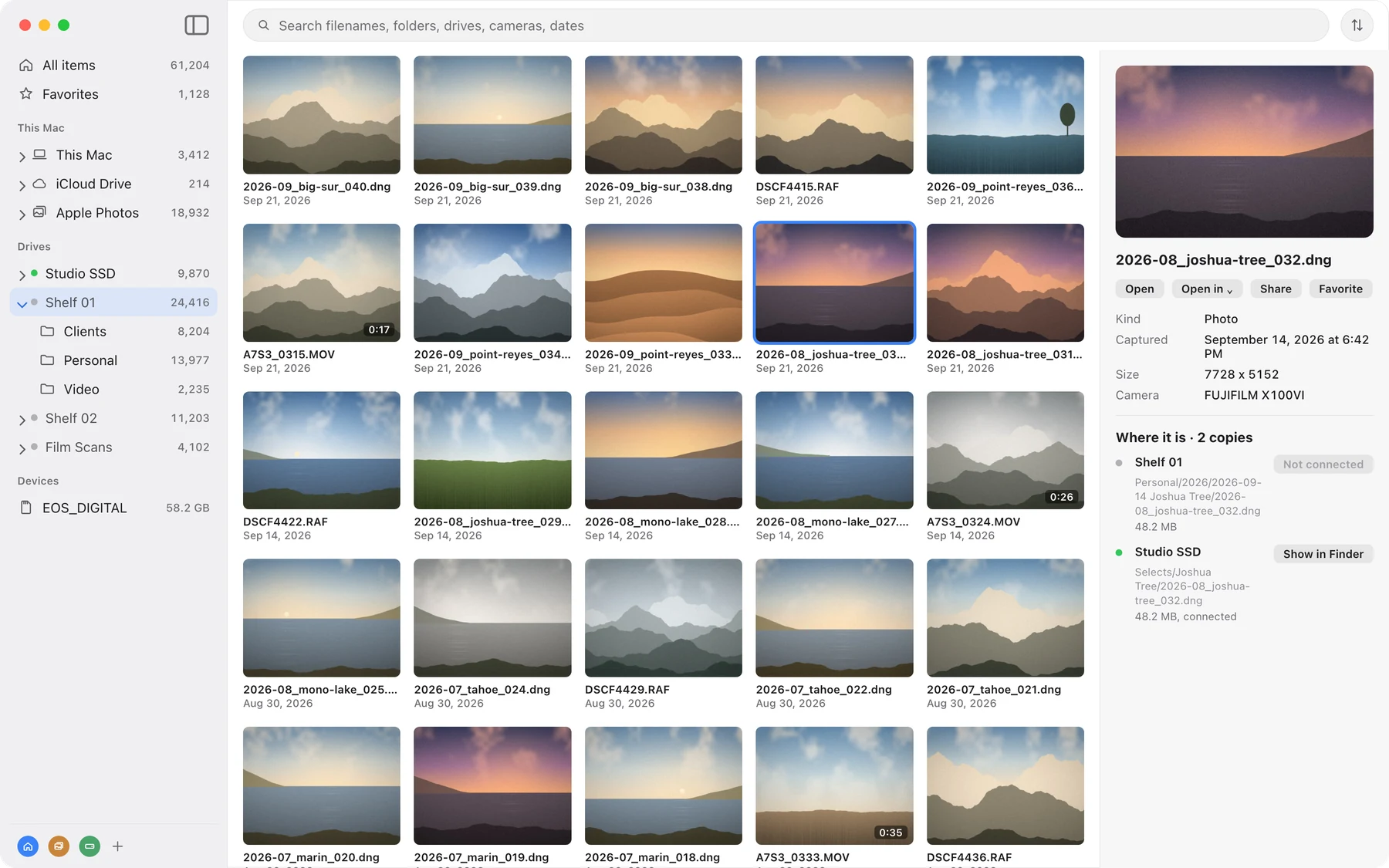 A selected photo with its two copies, one on an unplugged drive and one on a connected drive